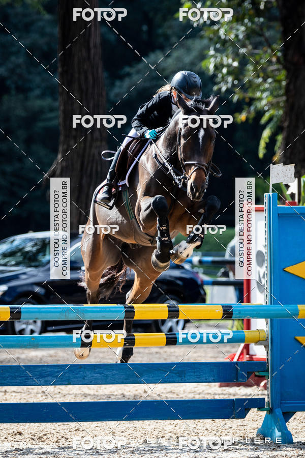 Buy your photos of the eventHipismo / Paulisto 2018 - MINI-MIRIM 1,00 m on Fotop