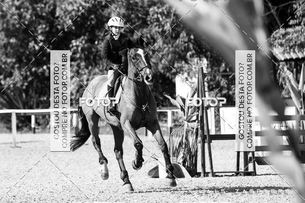 Buy your photos of the eventHipismo / Paulisto 2018 - MINI-MIRIM 1,00 m on Fotop