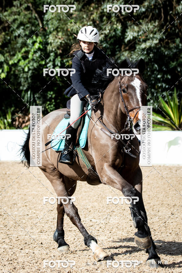 Buy your photos of the eventHipismo / Paulisto 2018 - MINI-MIRIM 1,00 m on Fotop