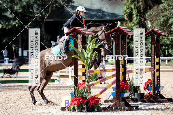 Buy your photos of the eventHipismo / Paulisto 2018 - MINI-MIRIM 1,00 m on Fotop