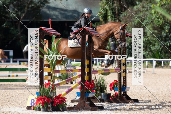 Buy your photos of the eventHipismo / Paulisto 2018 - MINI-MIRIM 1,00 m on Fotop