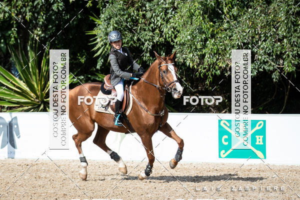 Buy your photos of the eventHipismo / Paulisto 2018 - MINI-MIRIM 1,00 m on Fotop