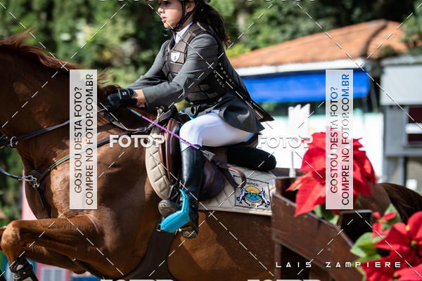 Buy your photos of the eventHipismo / Paulisto 2018 - MINI-MIRIM 1,00 m on Fotop