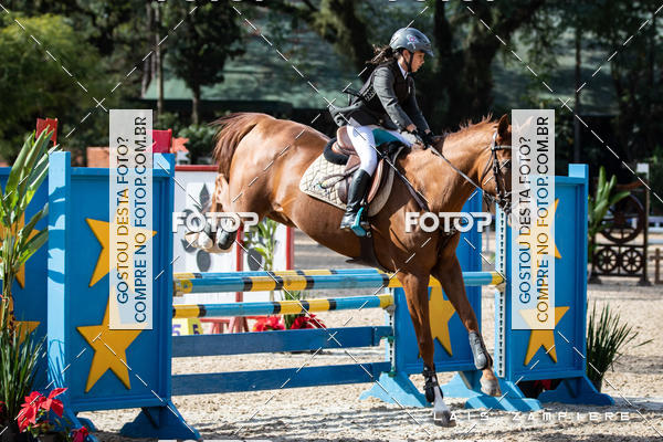 Buy your photos of the eventHipismo / Paulisto 2018 - MINI-MIRIM 1,00 m on Fotop