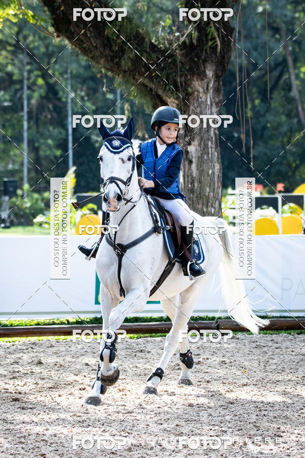 Buy your photos of the eventHipismo / Paulisto 2018 - MINI-MIRIM 1,00 m on Fotop