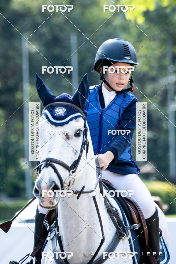 Buy your photos of the eventHipismo / Paulisto 2018 - MINI-MIRIM 1,00 m on Fotop