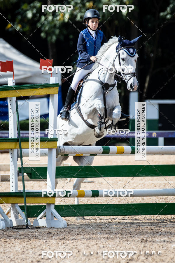 Buy your photos of the eventHipismo / Paulisto 2018 - MINI-MIRIM 1,00 m on Fotop