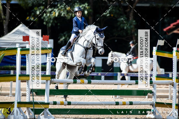 Buy your photos of the eventHipismo / Paulisto 2018 - MINI-MIRIM 1,00 m on Fotop