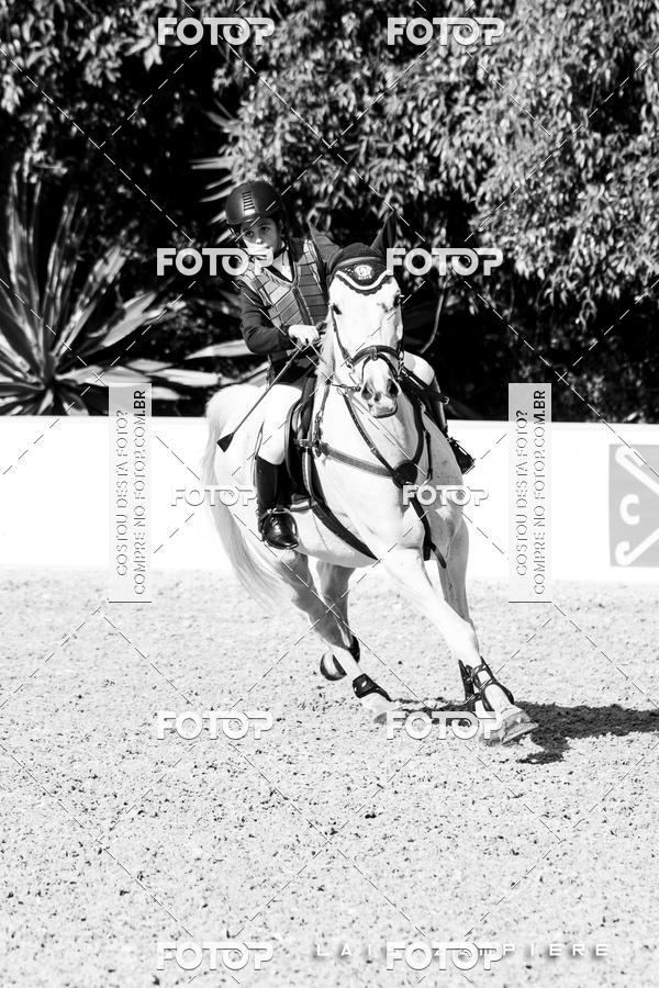 Buy your photos of the eventHipismo / Paulisto 2018 - MINI-MIRIM 1,00 m on Fotop