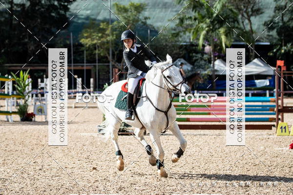 Buy your photos of the eventHipismo / Paulisto 2018 - MINI-MIRIM 1,00 m on Fotop