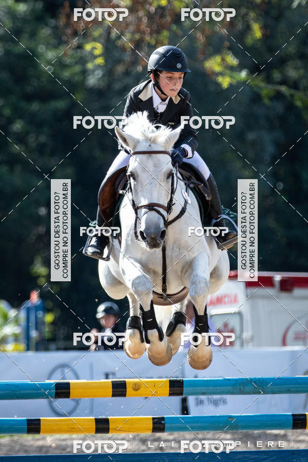 Buy your photos of the eventHipismo / Paulisto 2018 - MINI-MIRIM 1,00 m on Fotop