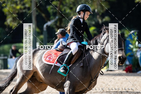 Buy your photos of the eventHipismo / Paulisto 2018 - MINI-MIRIM 1,00 m on Fotop