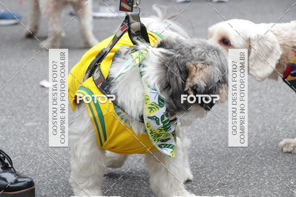 Buy your photos of the event13� C�ominhada - Santos on Fotop