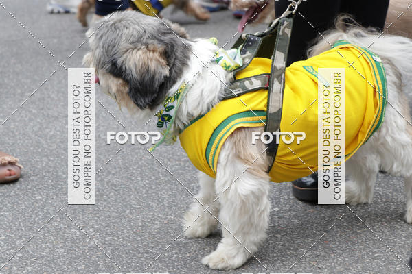 Buy your photos of the event13� C�ominhada - Santos on Fotop