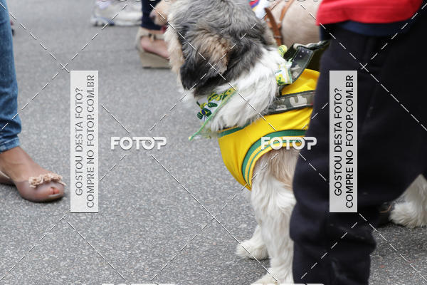 Buy your photos of the event13� C�ominhada - Santos on Fotop