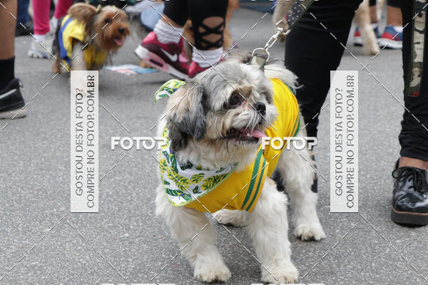 Buy your photos of the event13� C�ominhada - Santos on Fotop