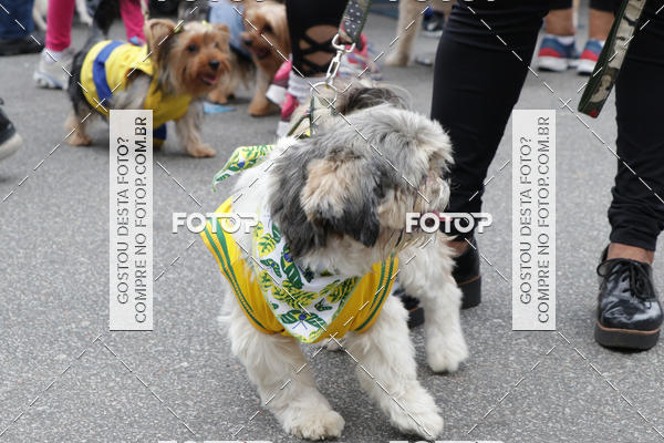 Buy your photos of the event13� C�ominhada - Santos on Fotop