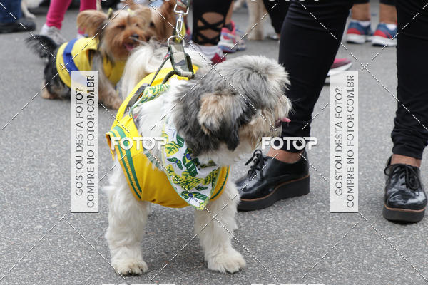 Buy your photos of the event13� C�ominhada - Santos on Fotop