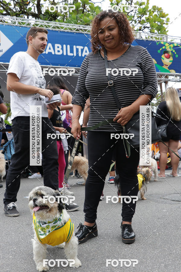 Buy your photos of the event13� C�ominhada - Santos on Fotop
