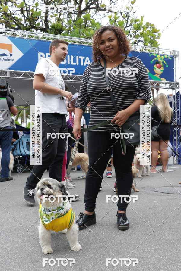 Buy your photos of the event13� C�ominhada - Santos on Fotop
