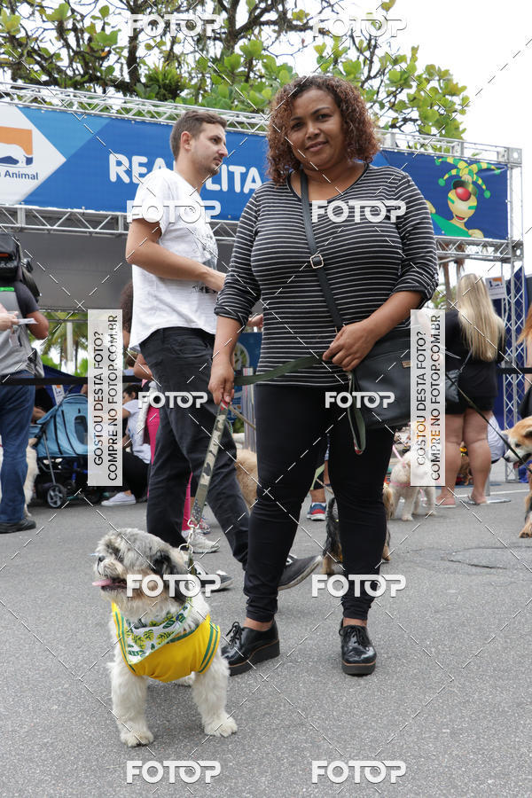 Buy your photos of the event13� C�ominhada - Santos on Fotop