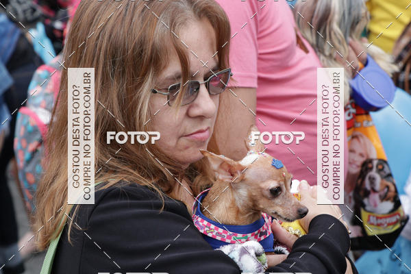 Buy your photos of the event13� C�ominhada - Santos on Fotop