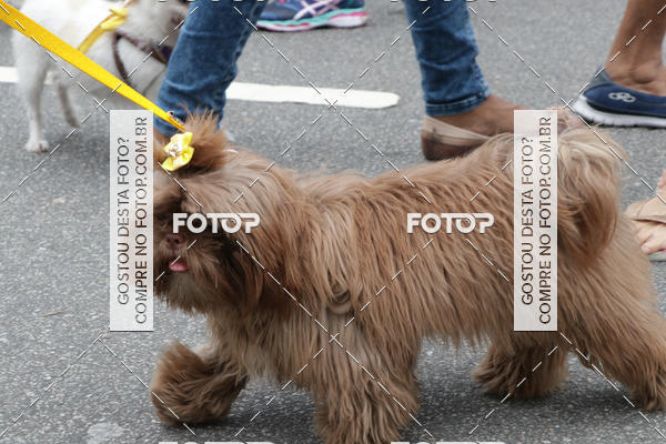 Buy your photos of the event13� C�ominhada - Santos on Fotop