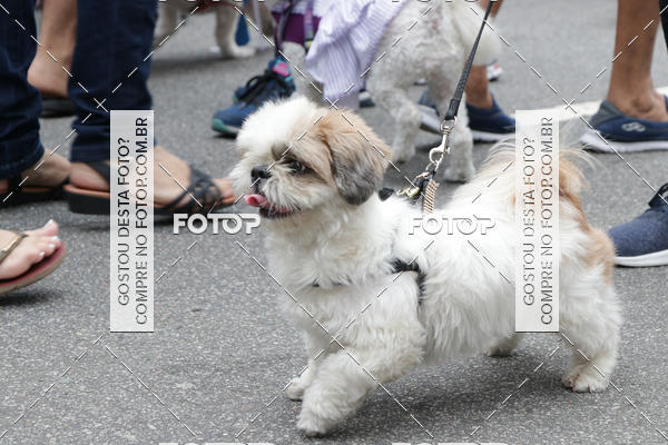 Buy your photos of the event13� C�ominhada - Santos on Fotop