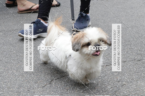 Buy your photos of the event13� C�ominhada - Santos on Fotop