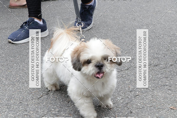 Buy your photos of the event13� C�ominhada - Santos on Fotop