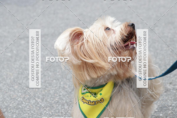 Buy your photos of the event13� C�ominhada - Santos on Fotop