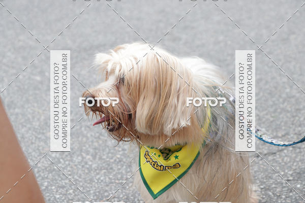 Buy your photos of the event13� C�ominhada - Santos on Fotop