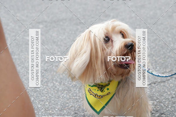 Buy your photos of the event13� C�ominhada - Santos on Fotop