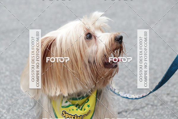 Buy your photos of the event13� C�ominhada - Santos on Fotop