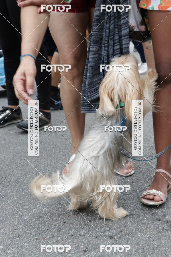 Buy your photos of the event13� C�ominhada - Santos on Fotop