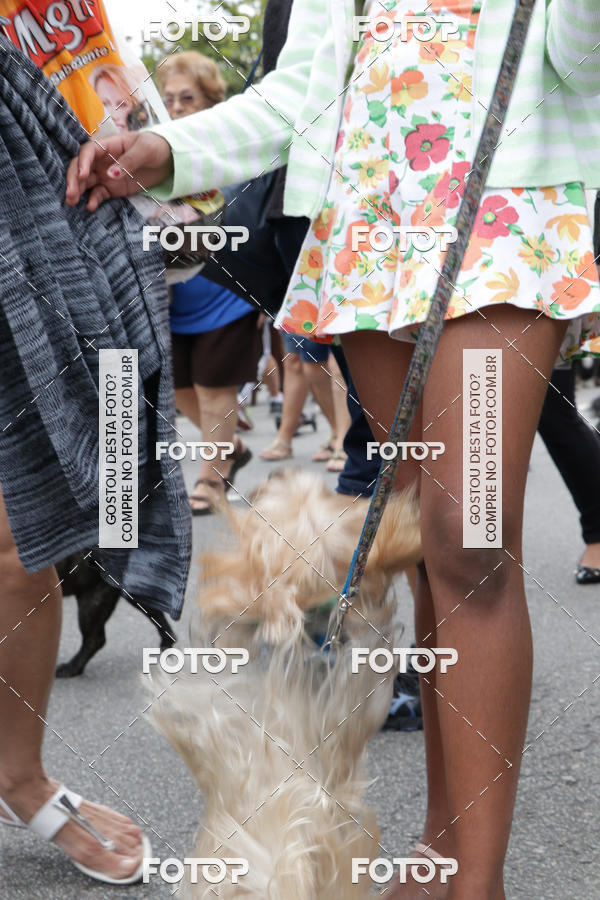 Buy your photos of the event13� C�ominhada - Santos on Fotop