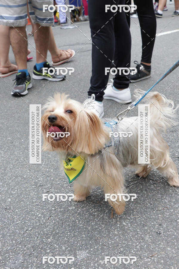 Buy your photos of the event13� C�ominhada - Santos on Fotop