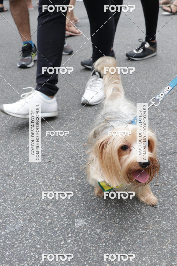 Buy your photos of the event13� C�ominhada - Santos on Fotop