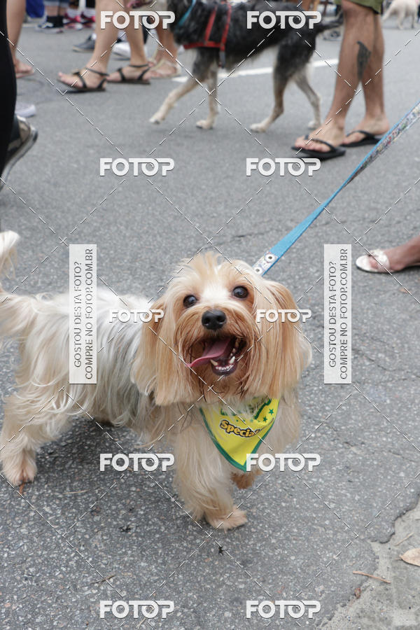 Buy your photos of the event13� C�ominhada - Santos on Fotop