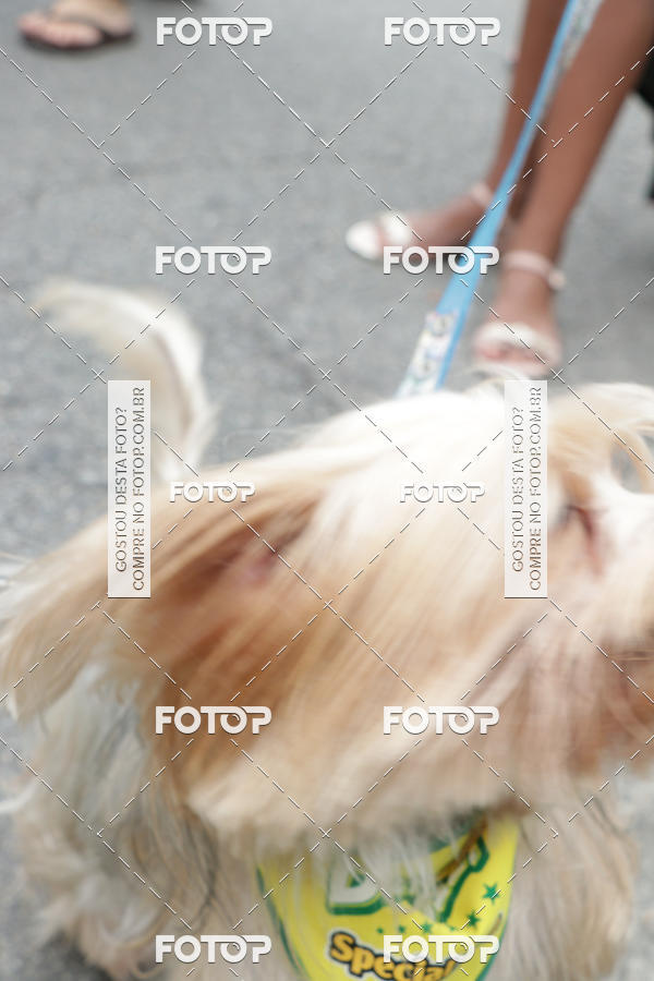 Buy your photos of the event13� C�ominhada - Santos on Fotop