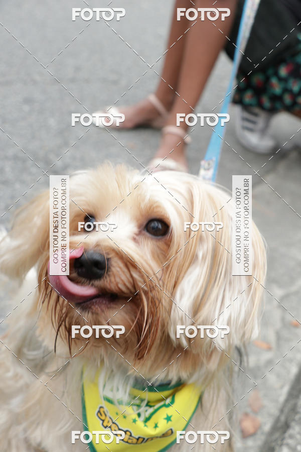 Buy your photos of the event13� C�ominhada - Santos on Fotop