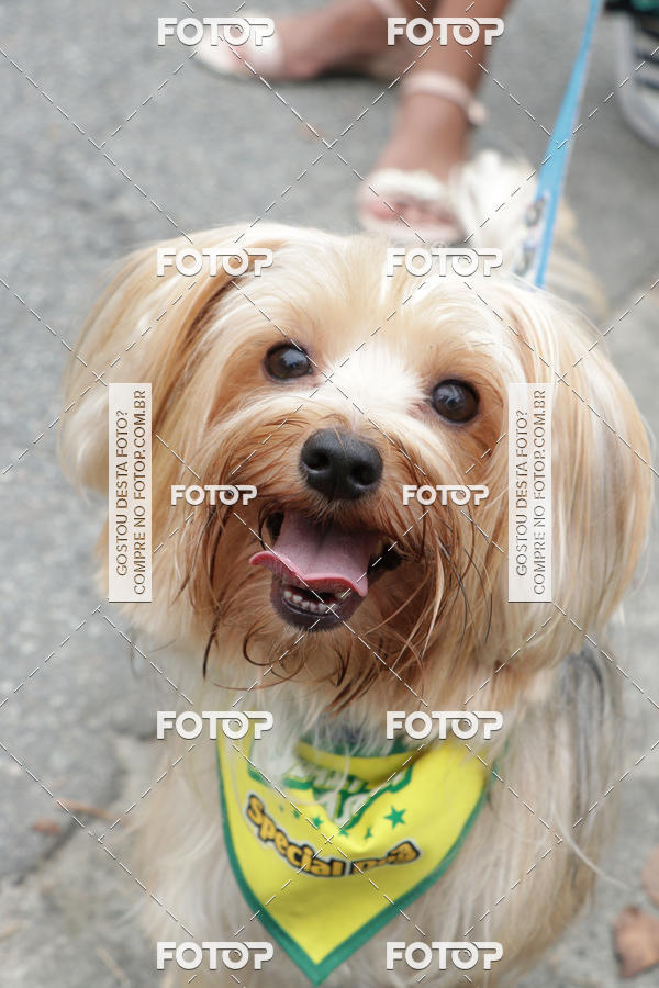 Buy your photos of the event13� C�ominhada - Santos on Fotop