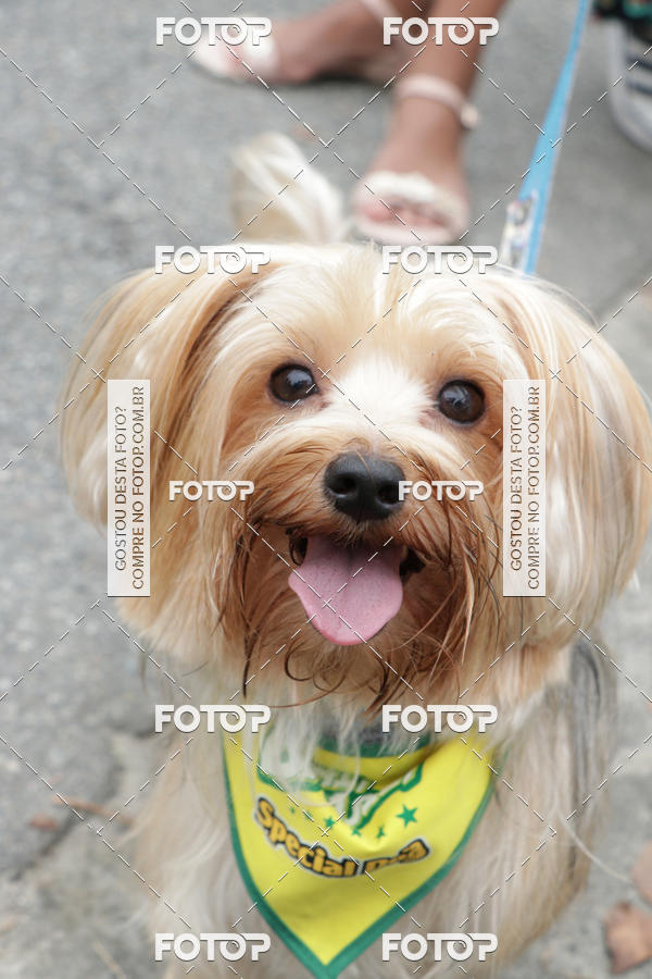 Buy your photos of the event13� C�ominhada - Santos on Fotop