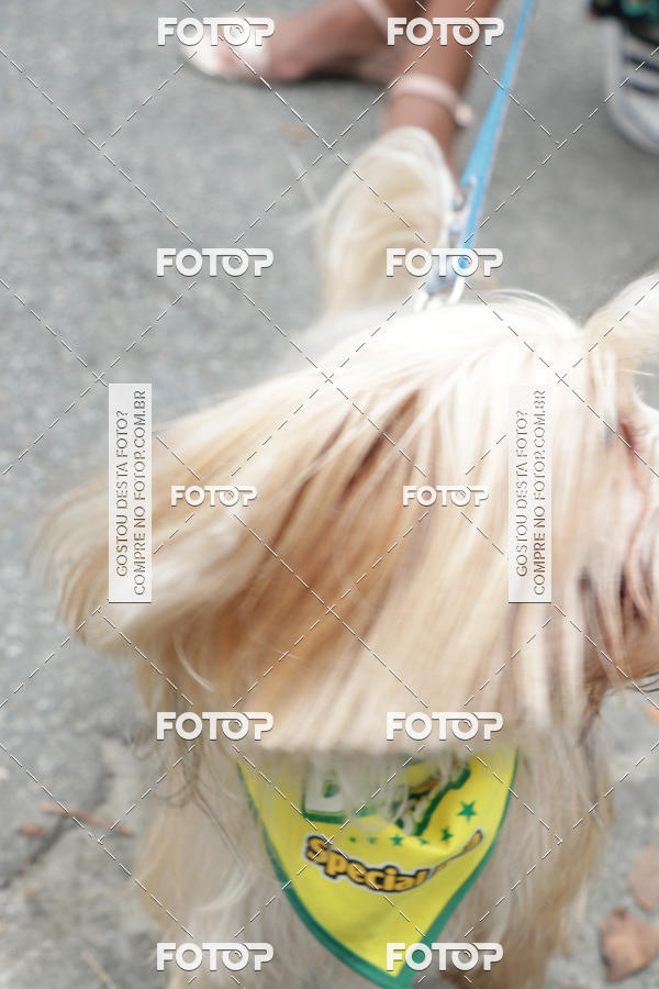 Buy your photos of the event13� C�ominhada - Santos on Fotop