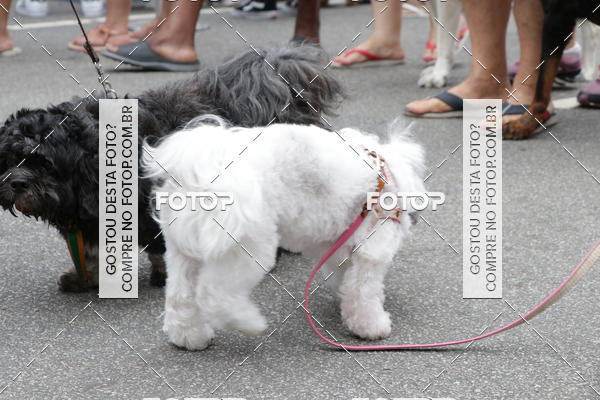 Buy your photos of the event13� C�ominhada - Santos on Fotop