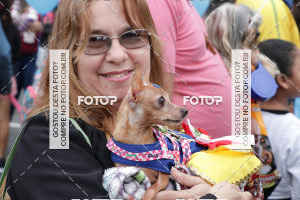 Buy your photos of the event13� C�ominhada - Santos on Fotop
