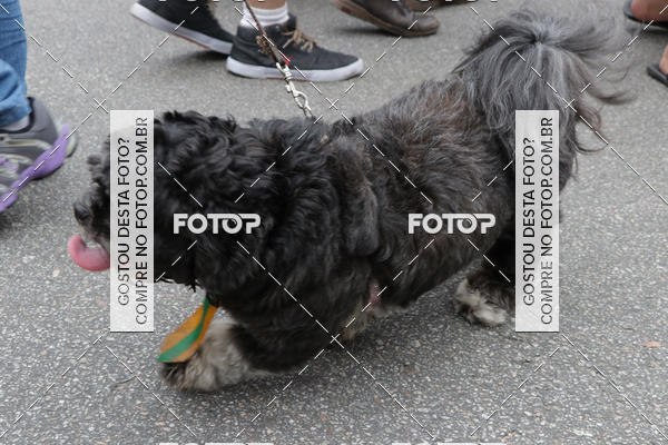 Buy your photos of the event13� C�ominhada - Santos on Fotop