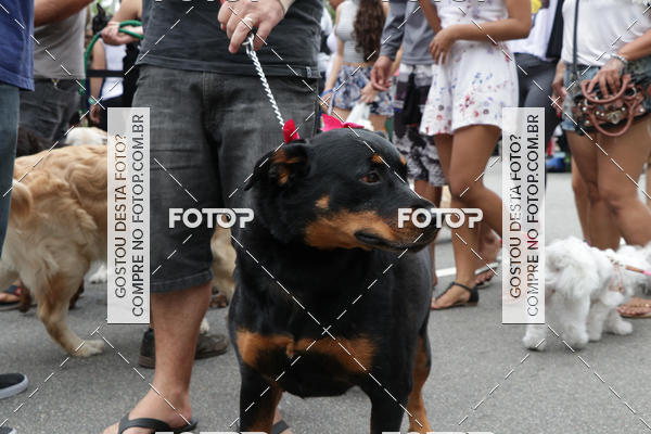 Buy your photos of the event13� C�ominhada - Santos on Fotop