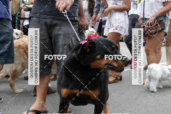 Buy your photos of the event13� C�ominhada - Santos on Fotop