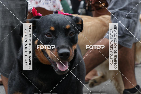 Buy your photos of the event13� C�ominhada - Santos on Fotop